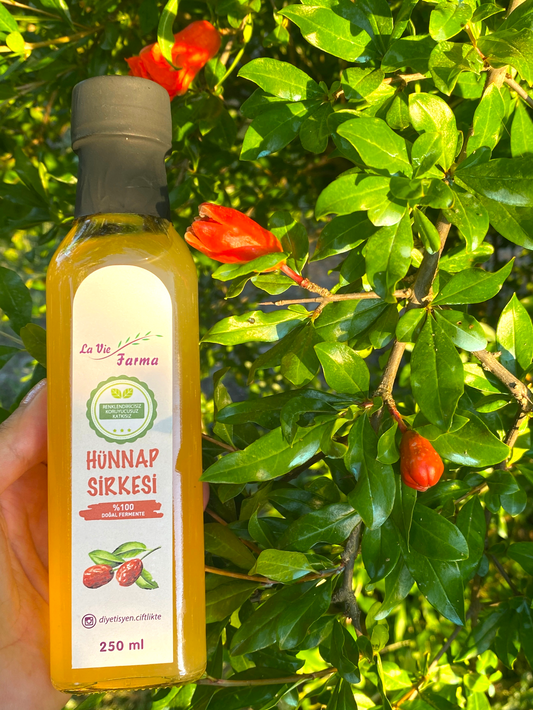 DOĞAL FERMENTE HÜNNAP SİRKESİ (250 ML)