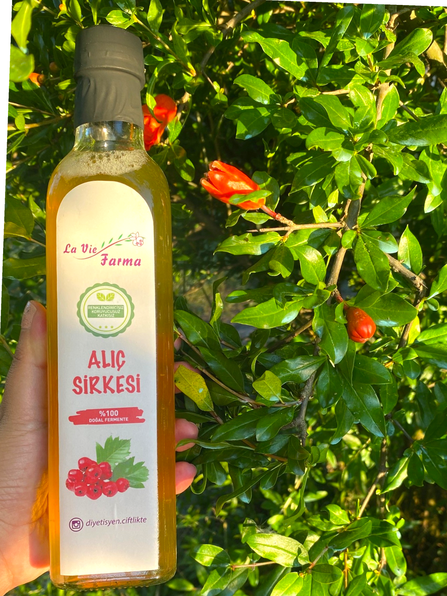 DOĞAL FERMENTE ALIÇ SİRKESİ (500 ML)