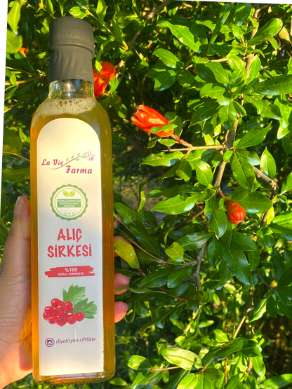 DOĞAL FERMENTE ALIÇ SİRKESİ (500 ML)