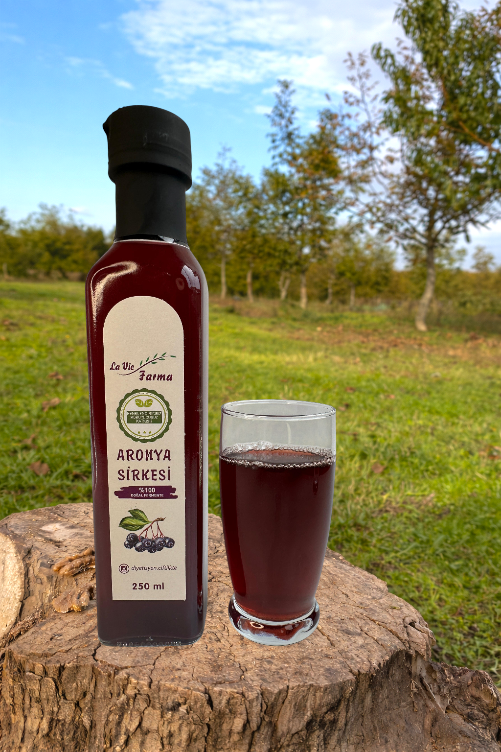 DOĞAL FERMENTE ARONYA SİRKESİ (250 ML)