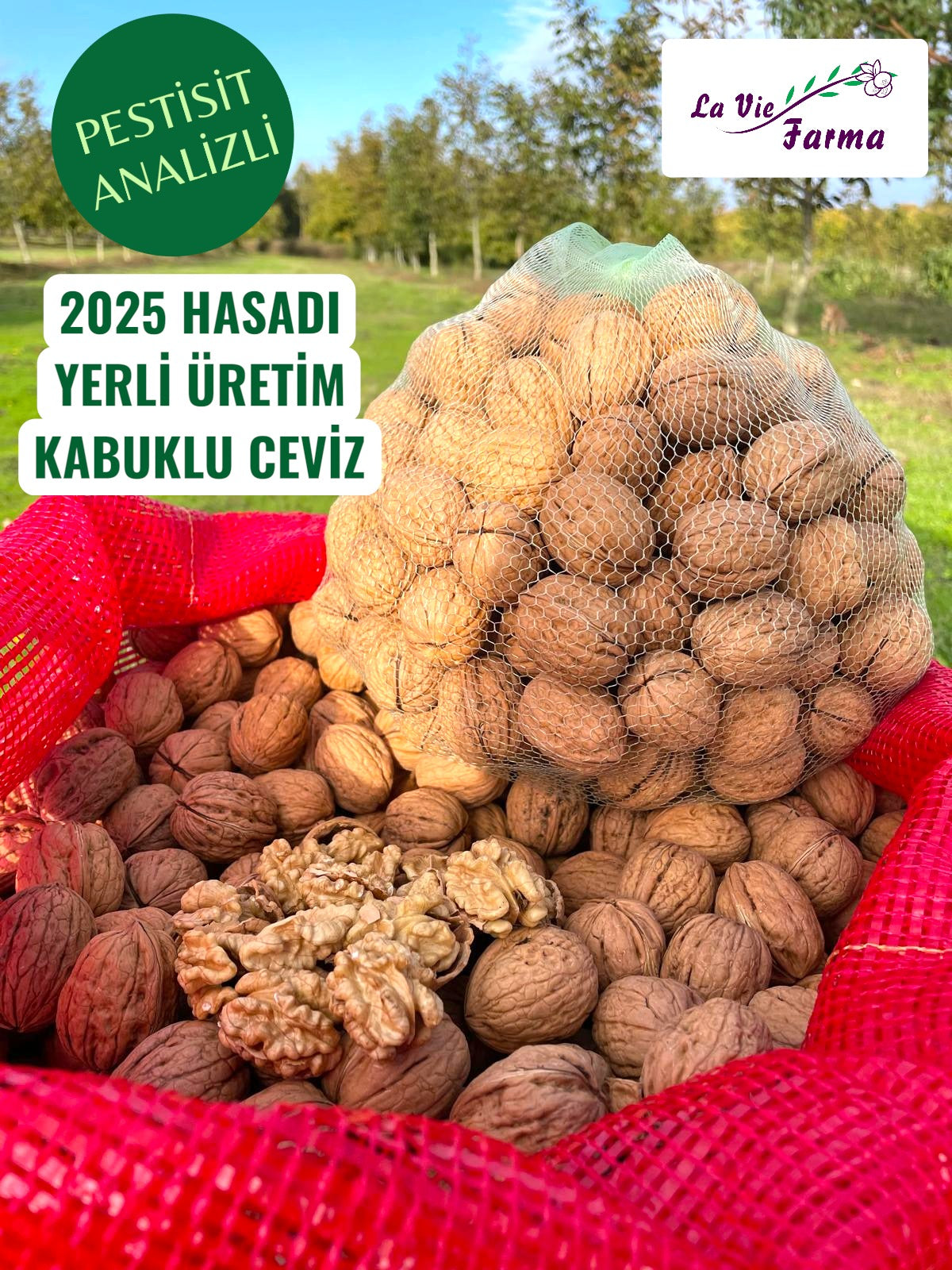 Yerli Üretim İnce Kabuklu Ceviz (Pestisit Analizli)