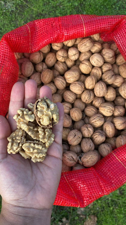 Yerli Üretim İnce Kabuklu Ceviz (Pestisit Analizli)