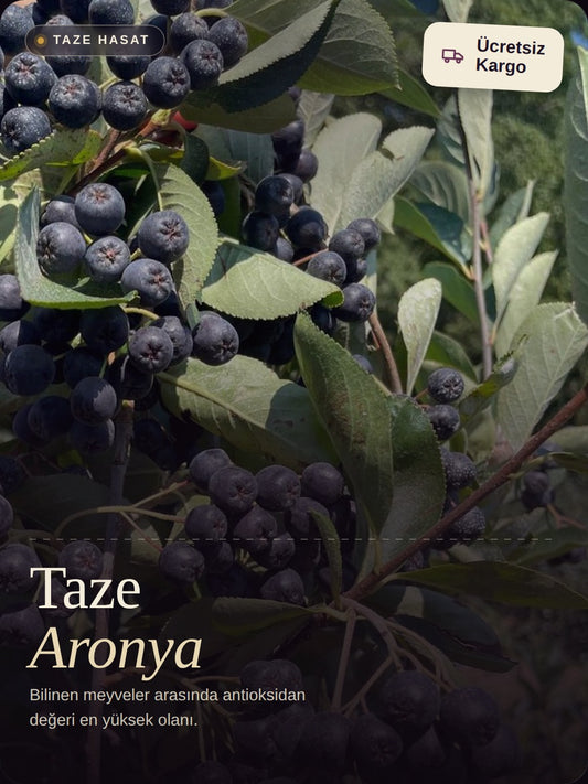 TAZE ARONYA